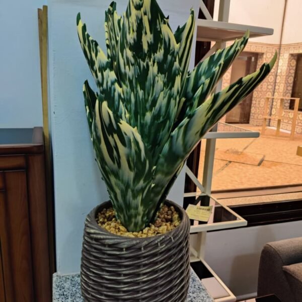 PLANTE ARTIFICIELLE 24P0683